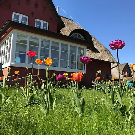 Hues Sanskiin *hopelfask* *